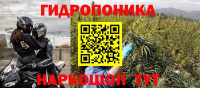 гидропоника Гатчина
