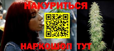 гидропоника Гатчина