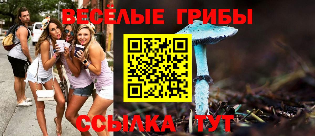 Псилоцибиновые грибы Cubensis Нефтекамск